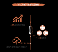 �Ǽ����������������ʲ������󿪲ɷ�ʽ�û�Ȩ��