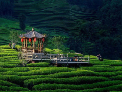 ��Щ��ѳԲ账ʾ�����ùٷ��Ƽ�